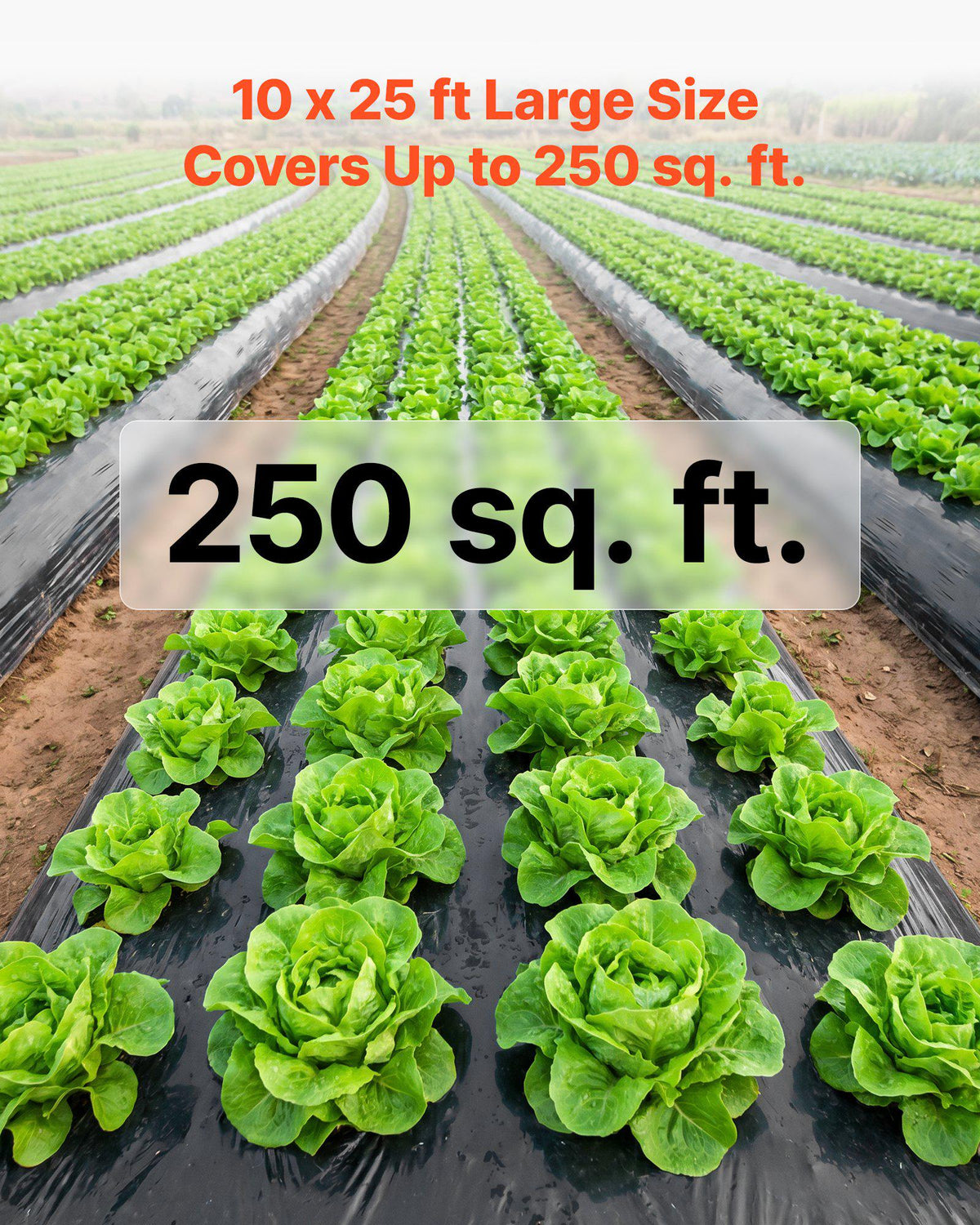 6 Mil Plastic Sheeting 10' x 25' Black Heavy Duty Polyethylene Roll, Thick Plastic Roll for Garden, Drop Cloth Painters Tarp, Polyethylene Covering for Crawl Space Vapor Barrier, Weed Control
