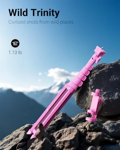 VIMOSE 66" Phone Tripod, Tripod for iPhone with Remote & Phone Stand - color: Ruby Star