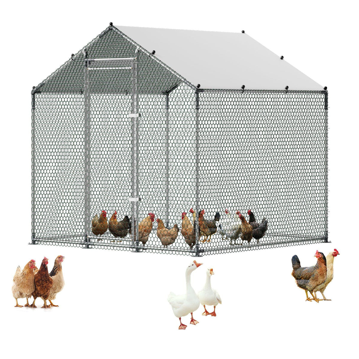 Large Metal Chicken Coop 6.6x6.6x6.6 ft Walk-in Chicken Run House, Spire Roof Hen House Enclosure with Cover and Security Lock, Outdoor Duck Rabbit Cage Poultry Pen for Backyard, Farm, Yard