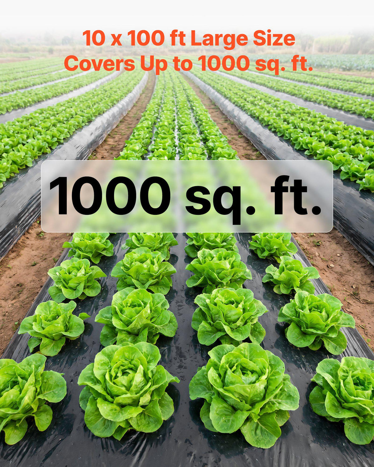4 Mil Plastic Sheeting 10' x 100' Black Heavy Duty Polyethylene Roll, Thick Plastic Roll for Garden, Drop Cloth Painters Tarp, Polyethylene Covering for Crawl Space Vapor Barrier, Weed Control
