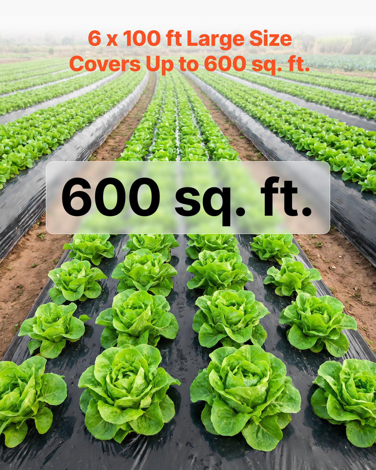 4 Mil Plastic Sheeting 6' x 100' Black Heavy Duty Polyethylene Roll, Thick Plastic Roll for Garden, Drop Cloth Painters Tarp, Polyethylene Covering for Crawl Space Vapor Barrier, Weed Control